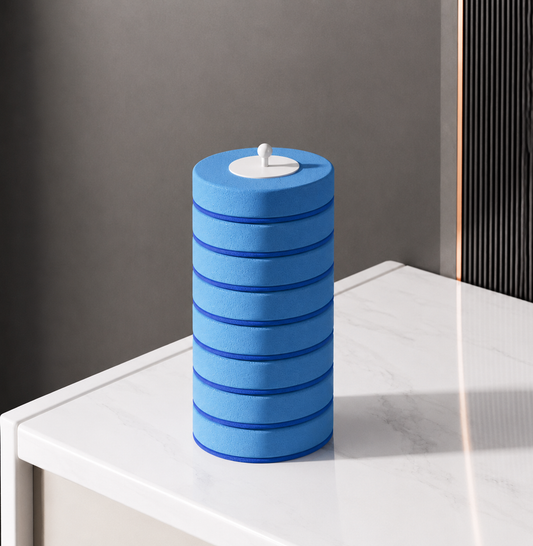 Disposable Toilet Brush