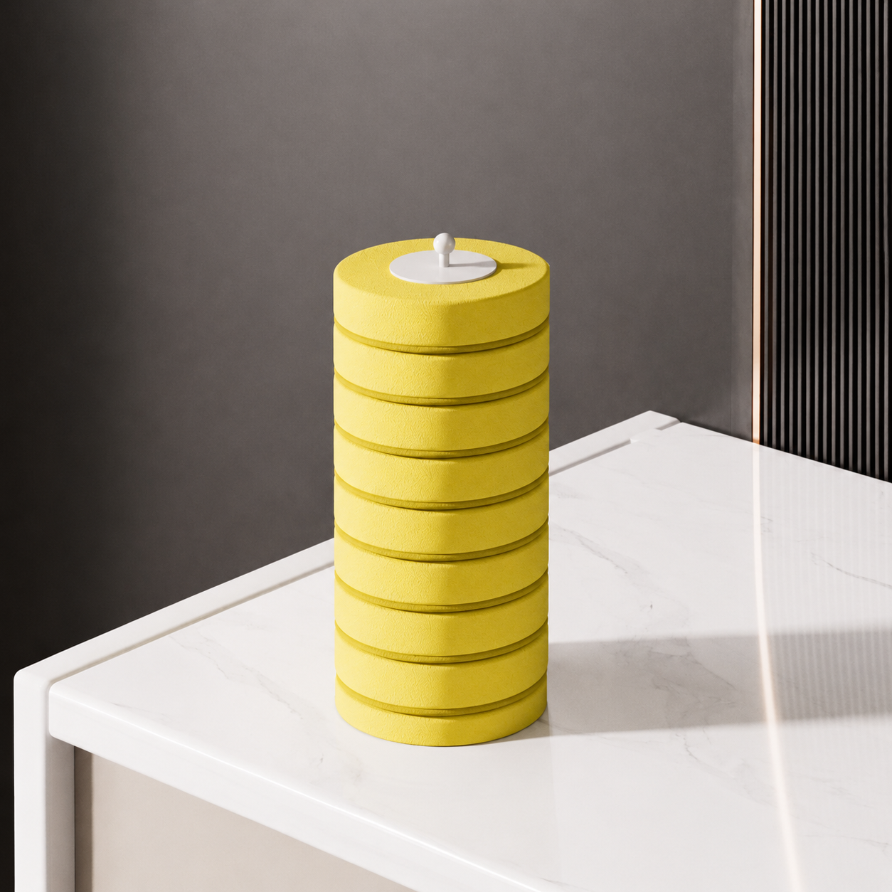 Disposable Toilet Brush